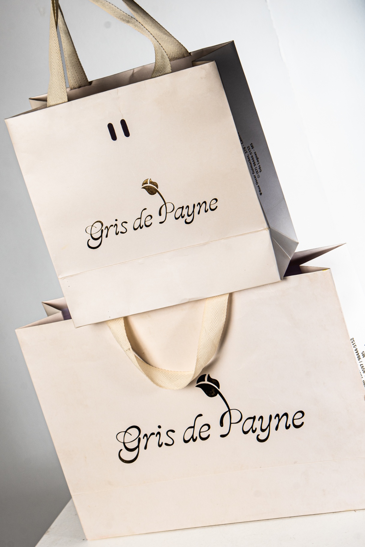 Sacola Gris de Payne 2 de 5