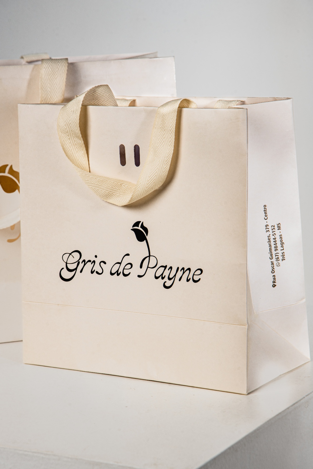 Sacola Gris de Payne 5 de 5